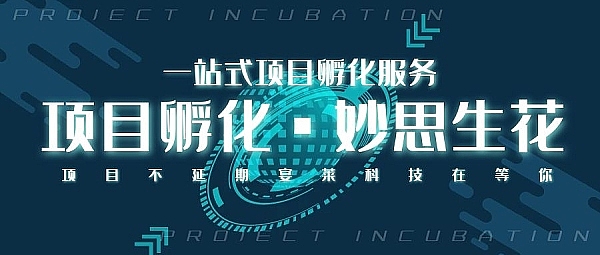 从追赶者到领跑者：泉峰控股用行动诠释中国芯力量